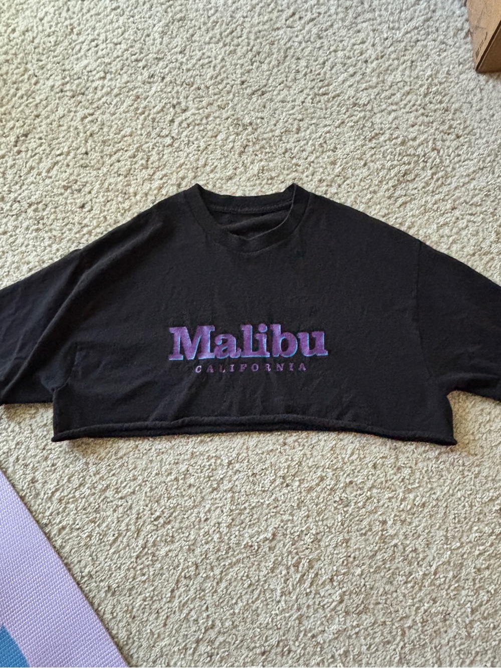 Brandy Melville malibu graphic cotton tee